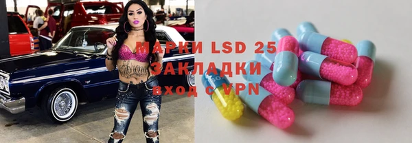 индика Лагань