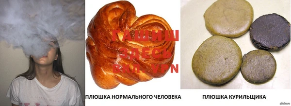 индика Лагань