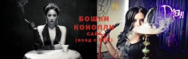 индика Лагань