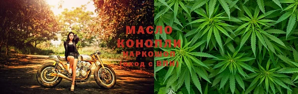 индика Лагань