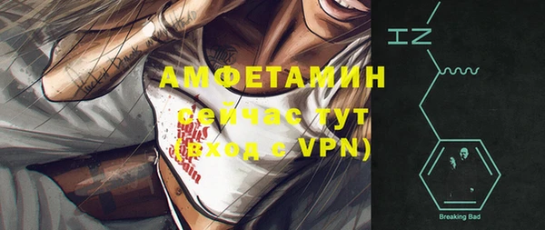индика Лагань