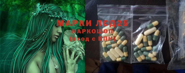 индика Лагань