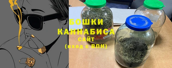 индика Лагань