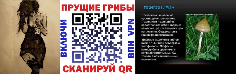 Галлюциногенные грибы ЛСД  Купить закладки  Хвалынск 